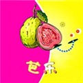 粉色ABB苏州晶体