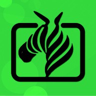 桃子视频在线观看免费完整版