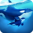 小小水世界(Worldof Water)_logo